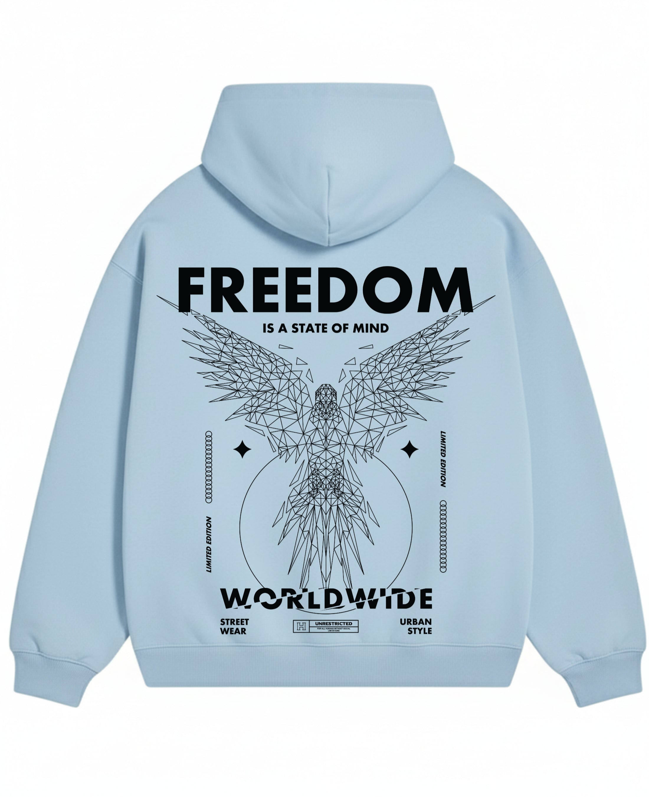 Sky Blue Oversized Hoodie Back Design